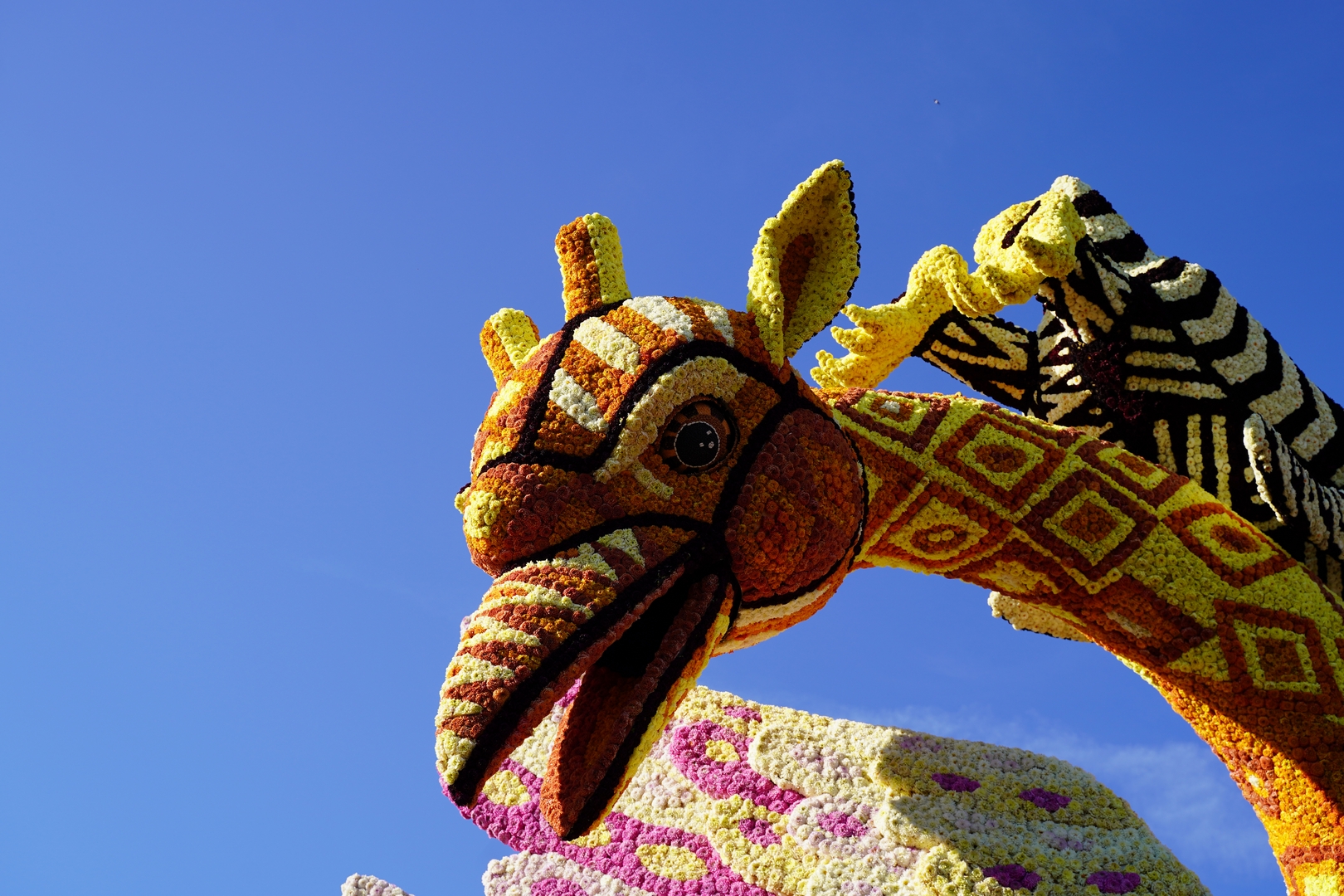 Alebrijes, Foto Fotografie Sander Vlug