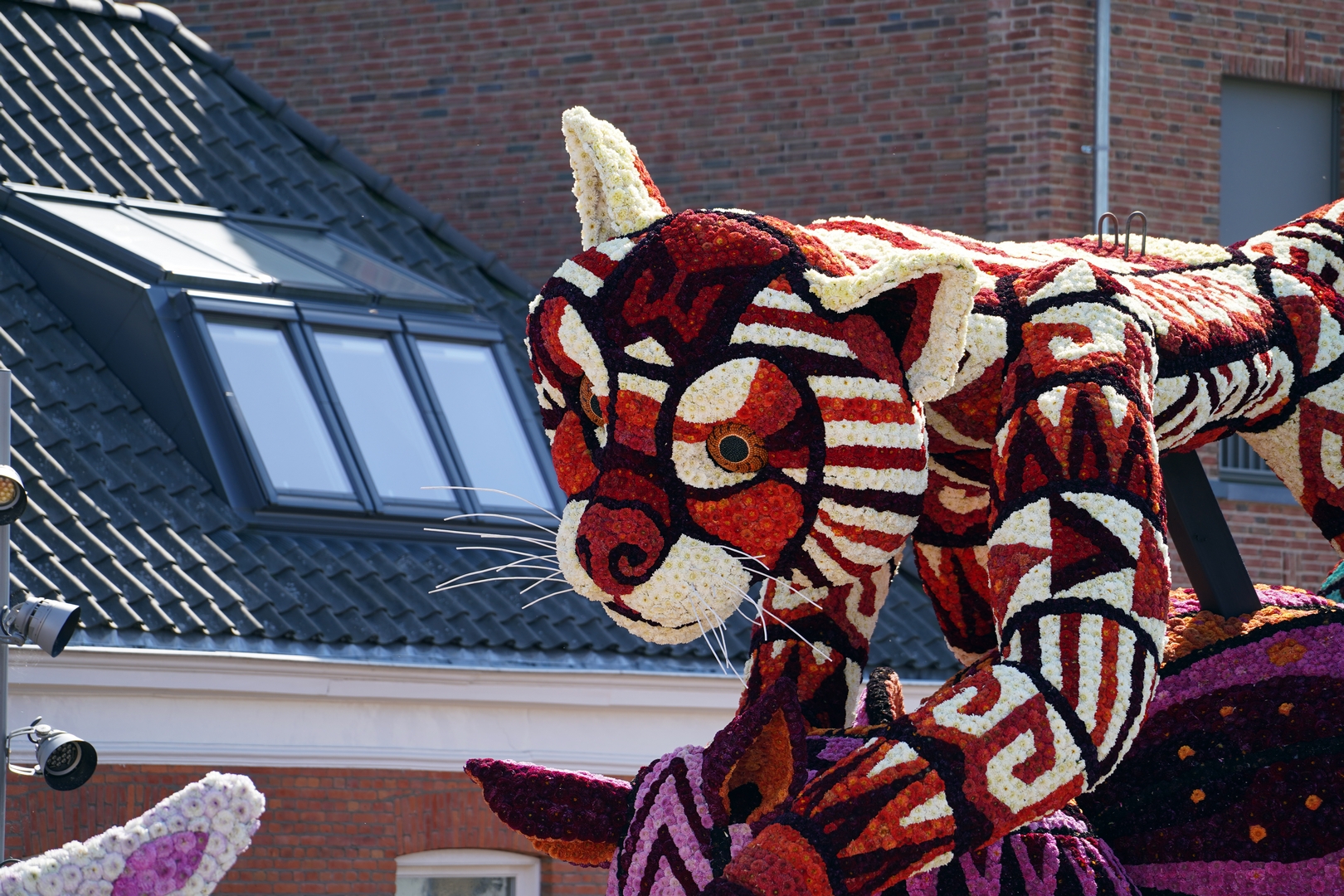 Alebrijes, Foto Fotografie Sander Vlug