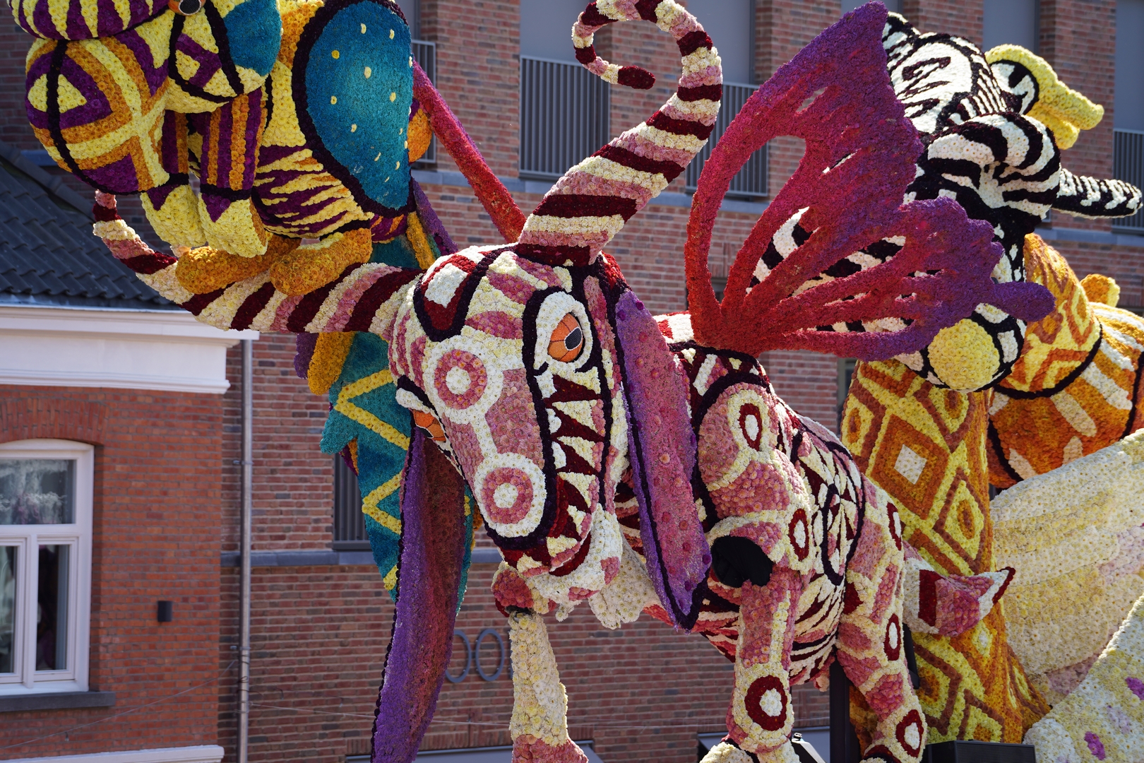 Alebrijes, Foto Fotografie Sander Vlug
