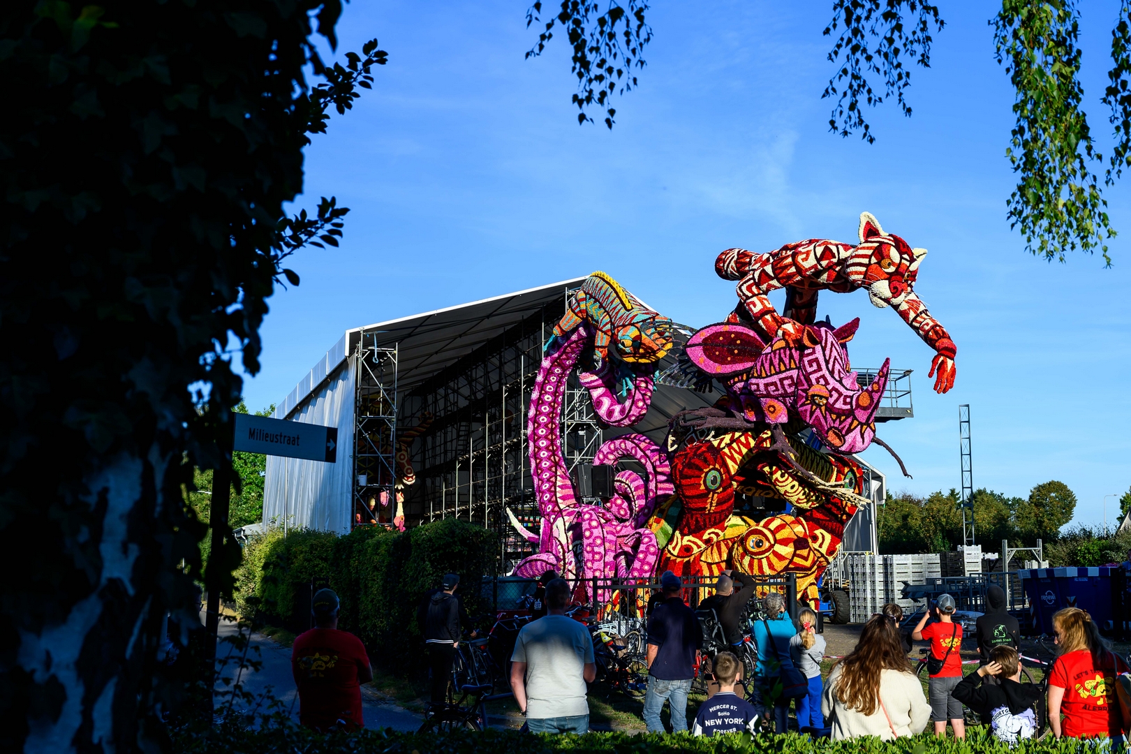 Alebrijes, Foto José van Trijp fotografie