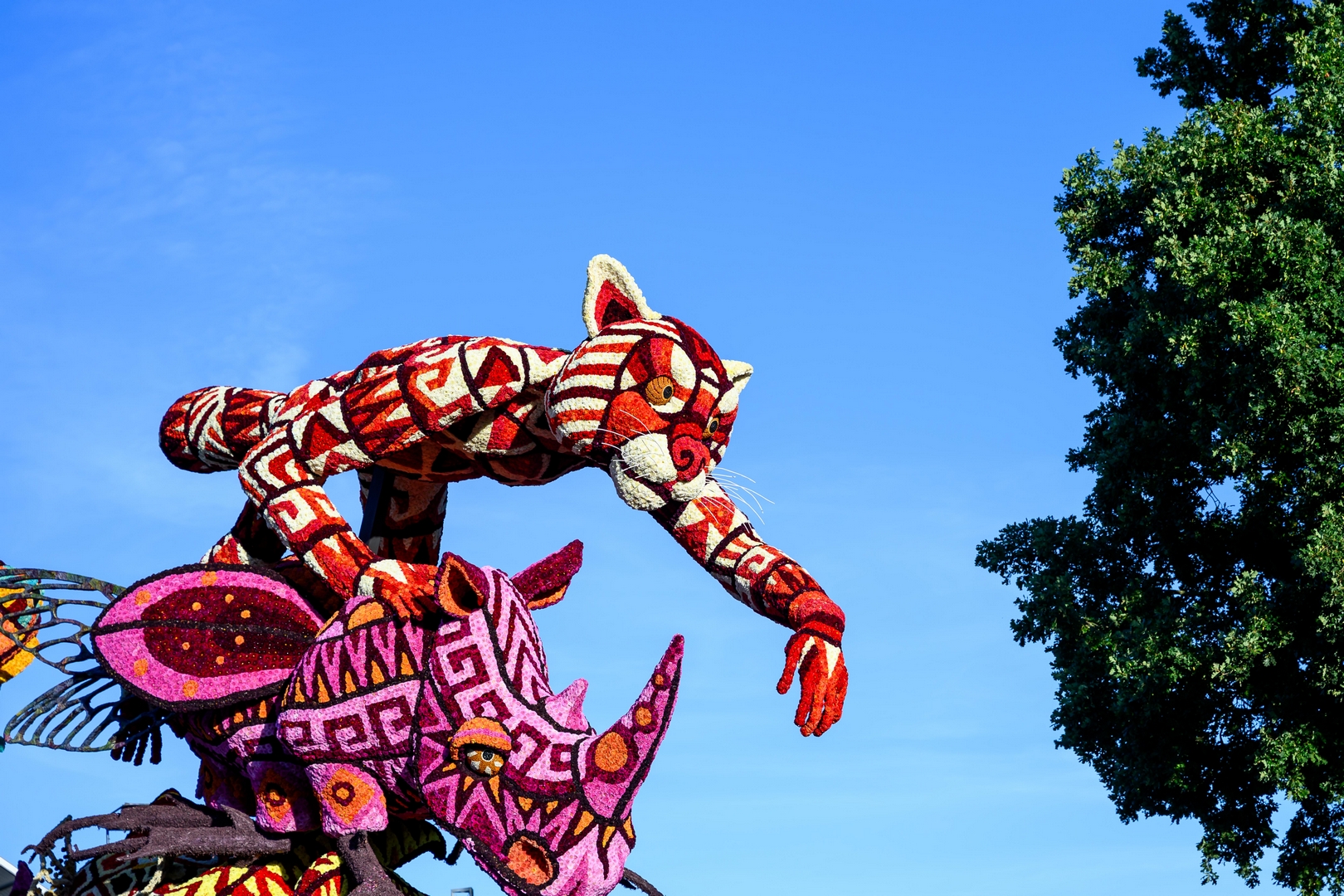 Alebrijes, Foto José van Trijp fotografie