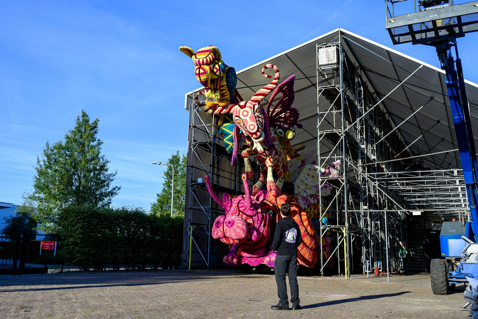 Alebrijes, Foto José van Trijp fotografie