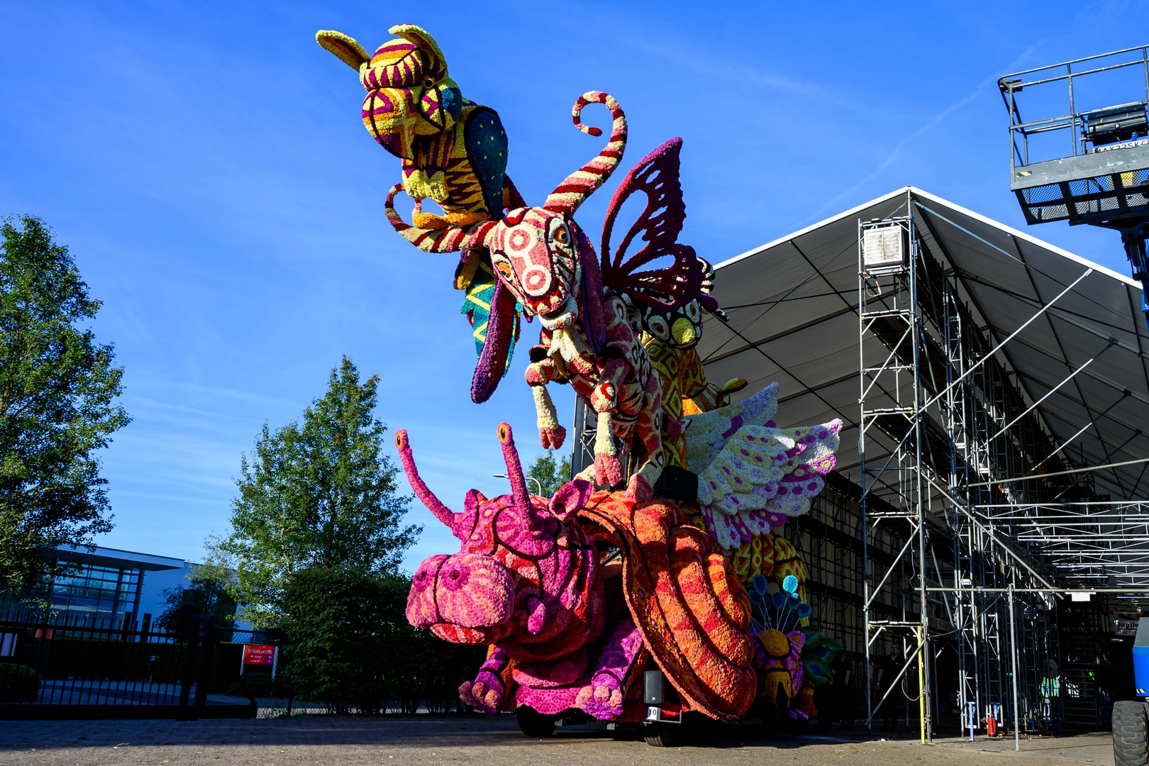 Alebrijes, Foto José van Trijp fotografie