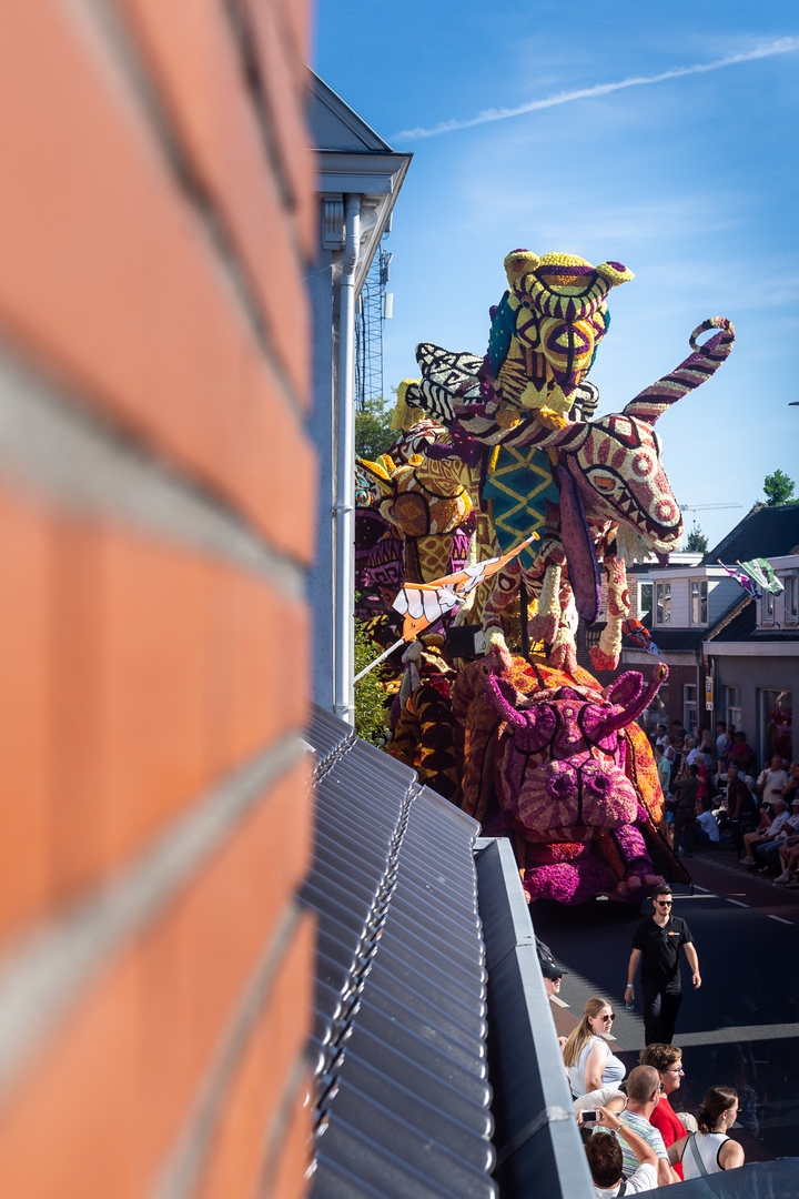 Alebrijes, Foto Judith Adriaansen Fotografie