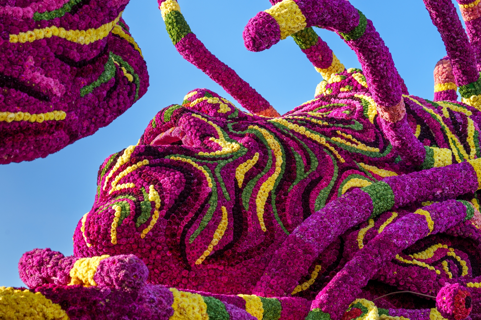 T.R.I.P. (Tussen Ruimte, Illusie en Pracht), Foto Paul Ranft
