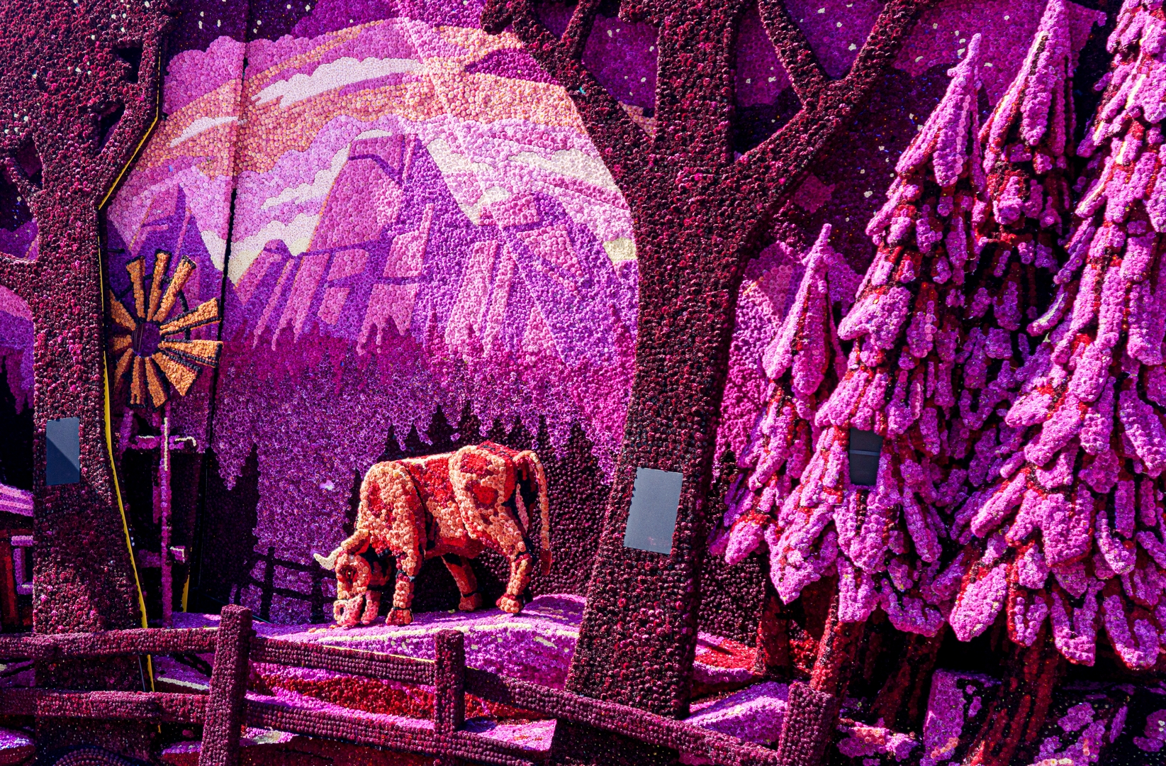Visitors, Foto Paul Ranft