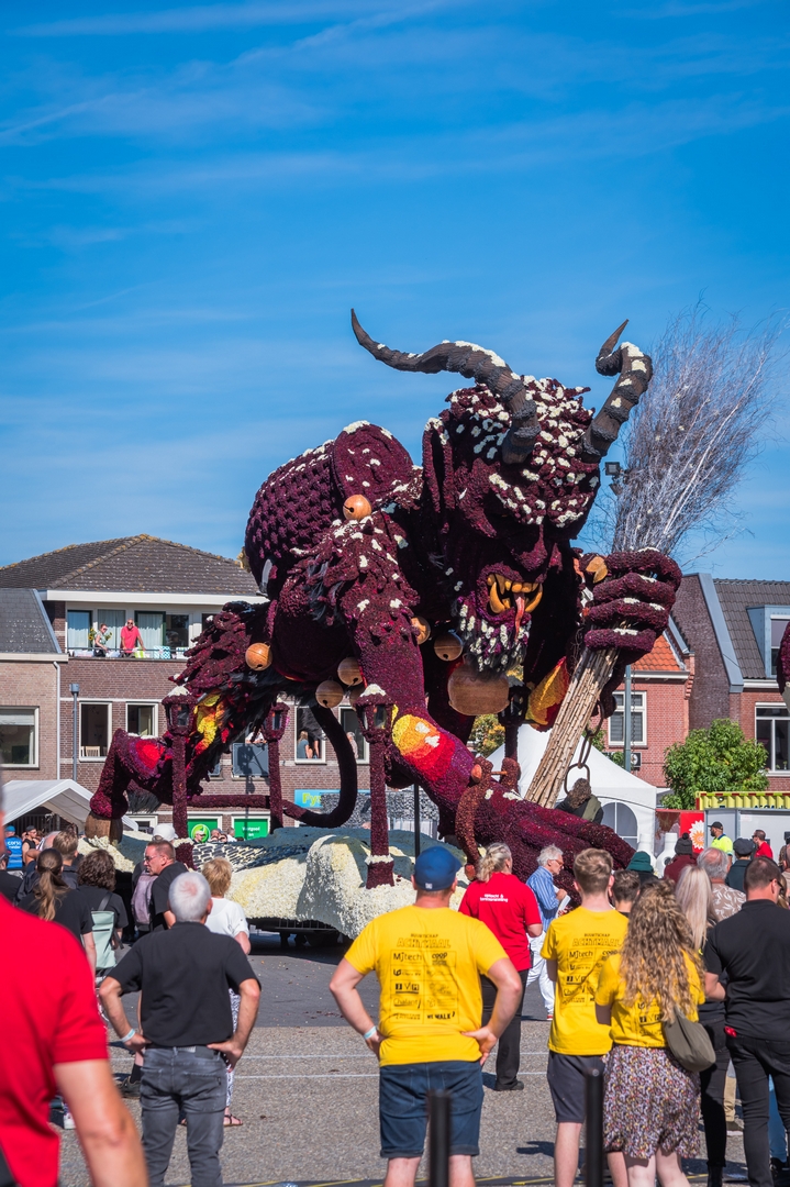 Krampus, Foto Charles van Campenhout