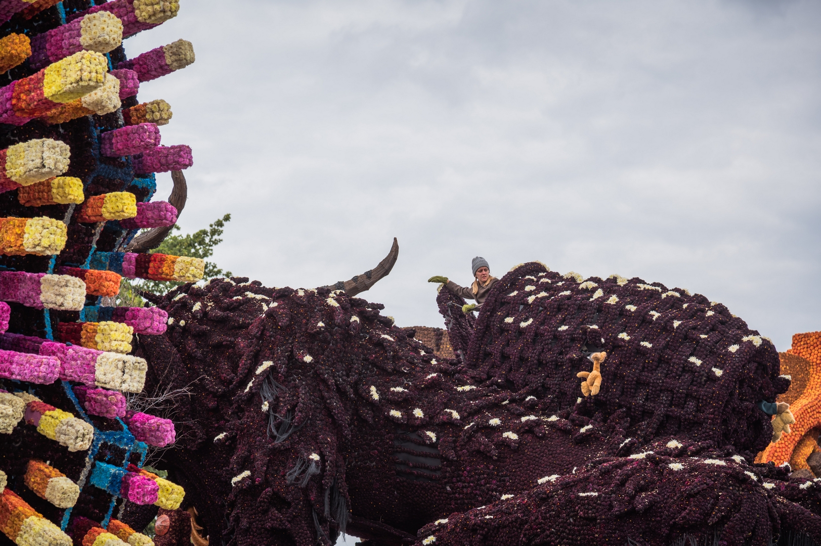 Krampus, Foto Charles van Campenhout