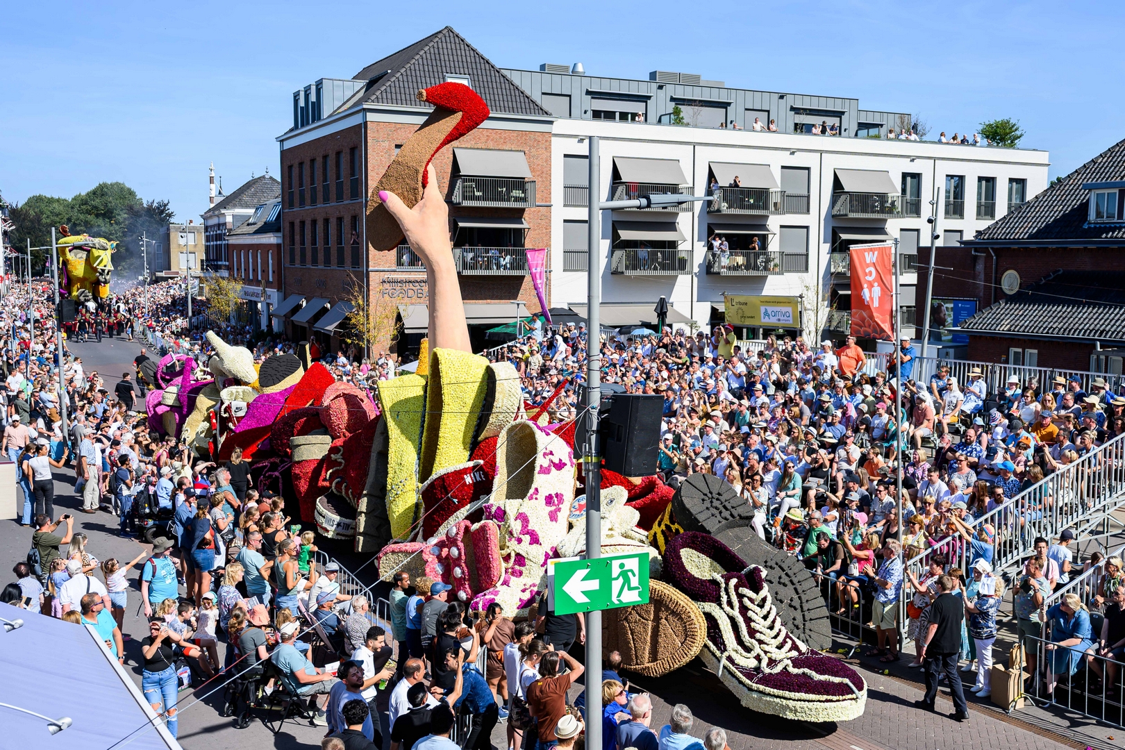 Hebbes, Foto José van Trijp fotografie