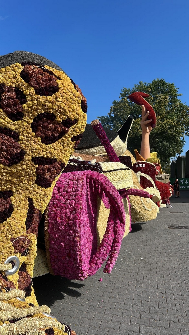Hebbes, Foto Denise Jochems