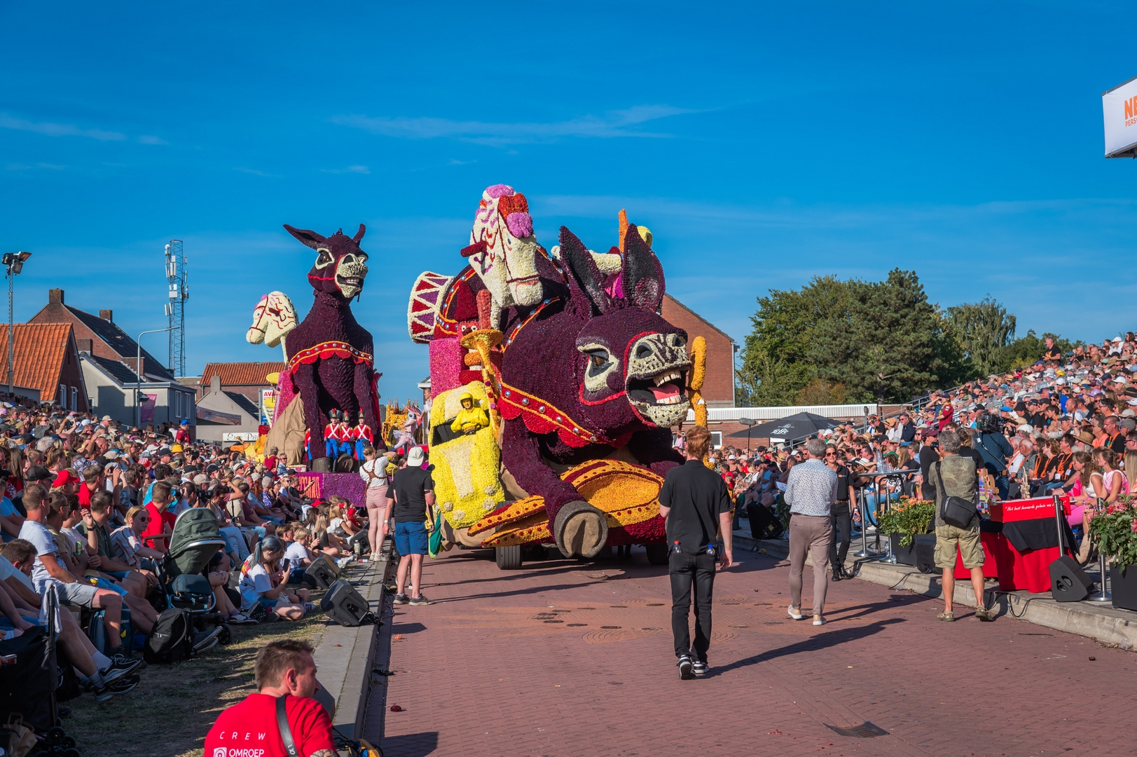 Vive Saint Nicolas!, Foto Charles van Campenhout