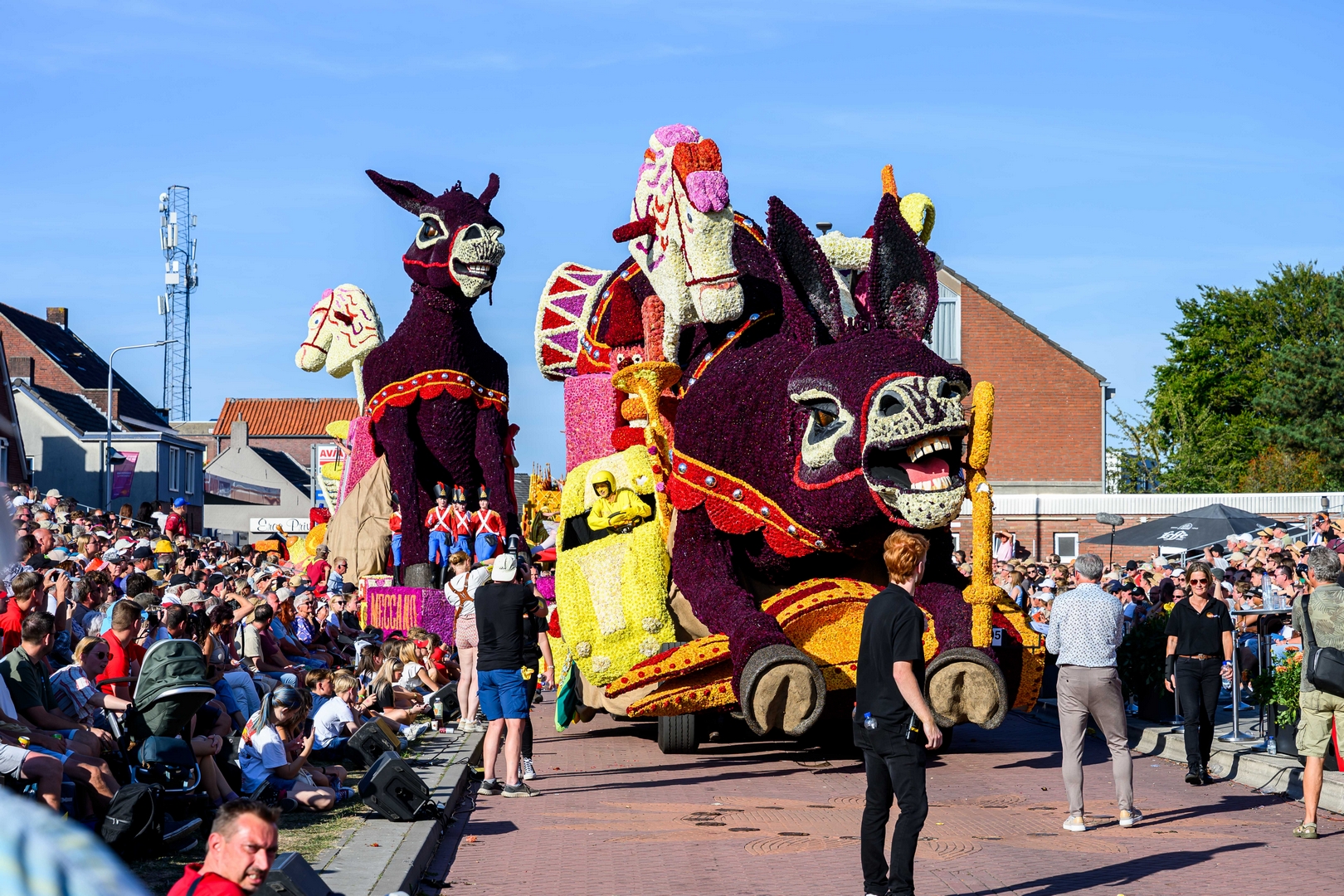 Vive Saint Nicolas!, Foto José van Trijp fotografie