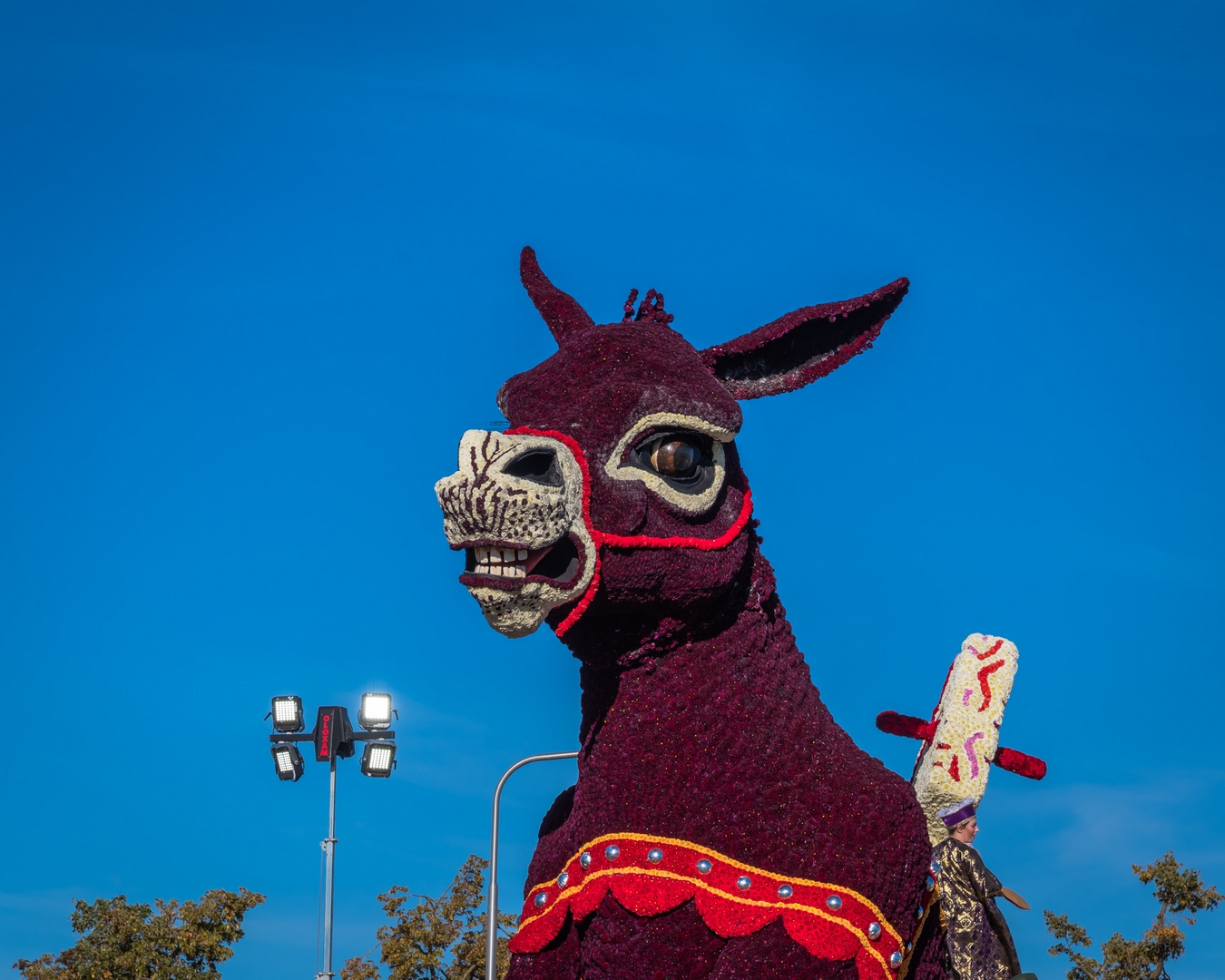 Vive Saint Nicolas!, Foto Charles van Campenhout