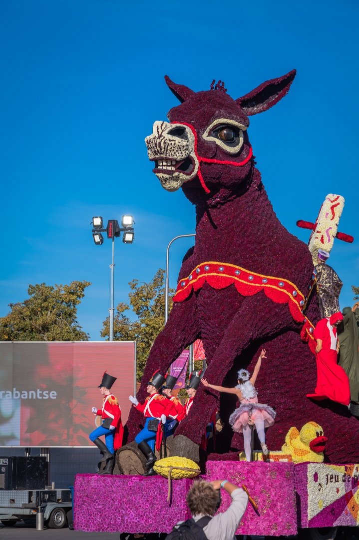 Vive Saint Nicolas!, Foto Charles van Campenhout