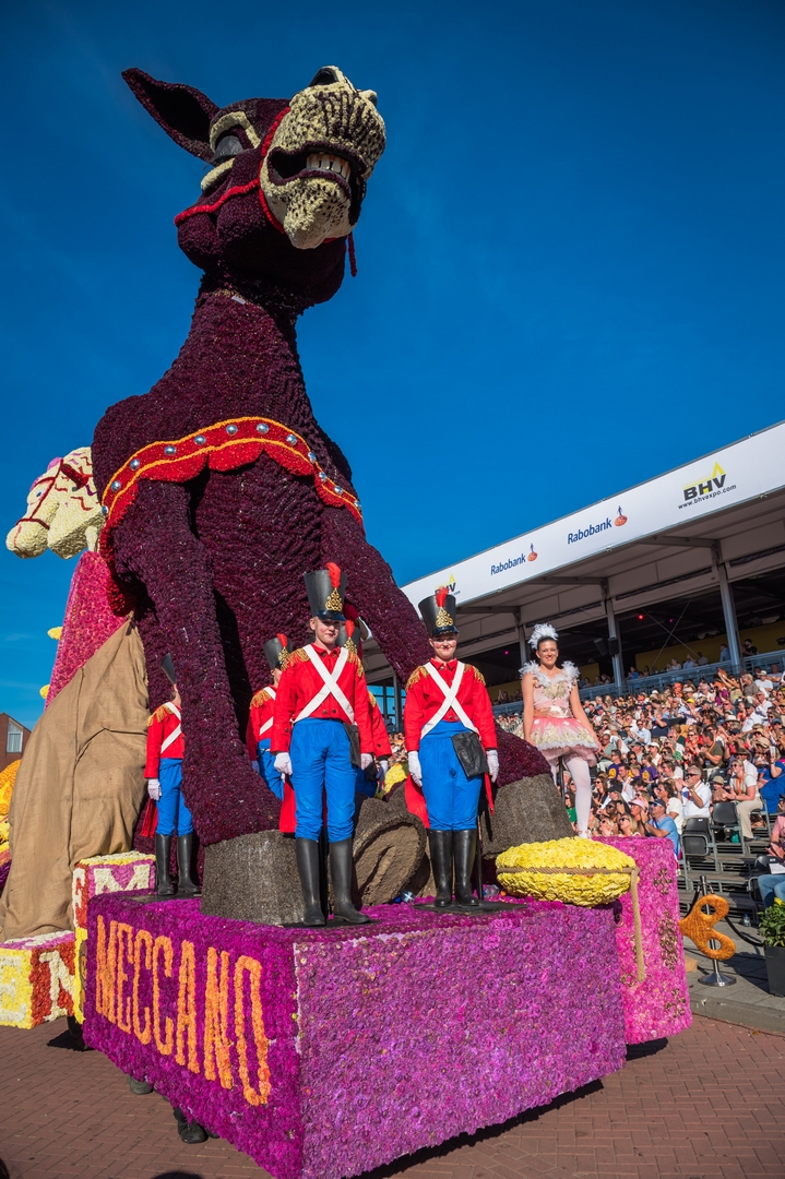 Vive Saint Nicolas!, Foto Charles van Campenhout