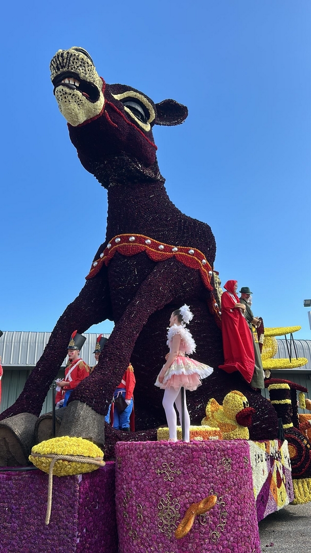 Vive Saint Nicolas!, Foto Denise Jochems