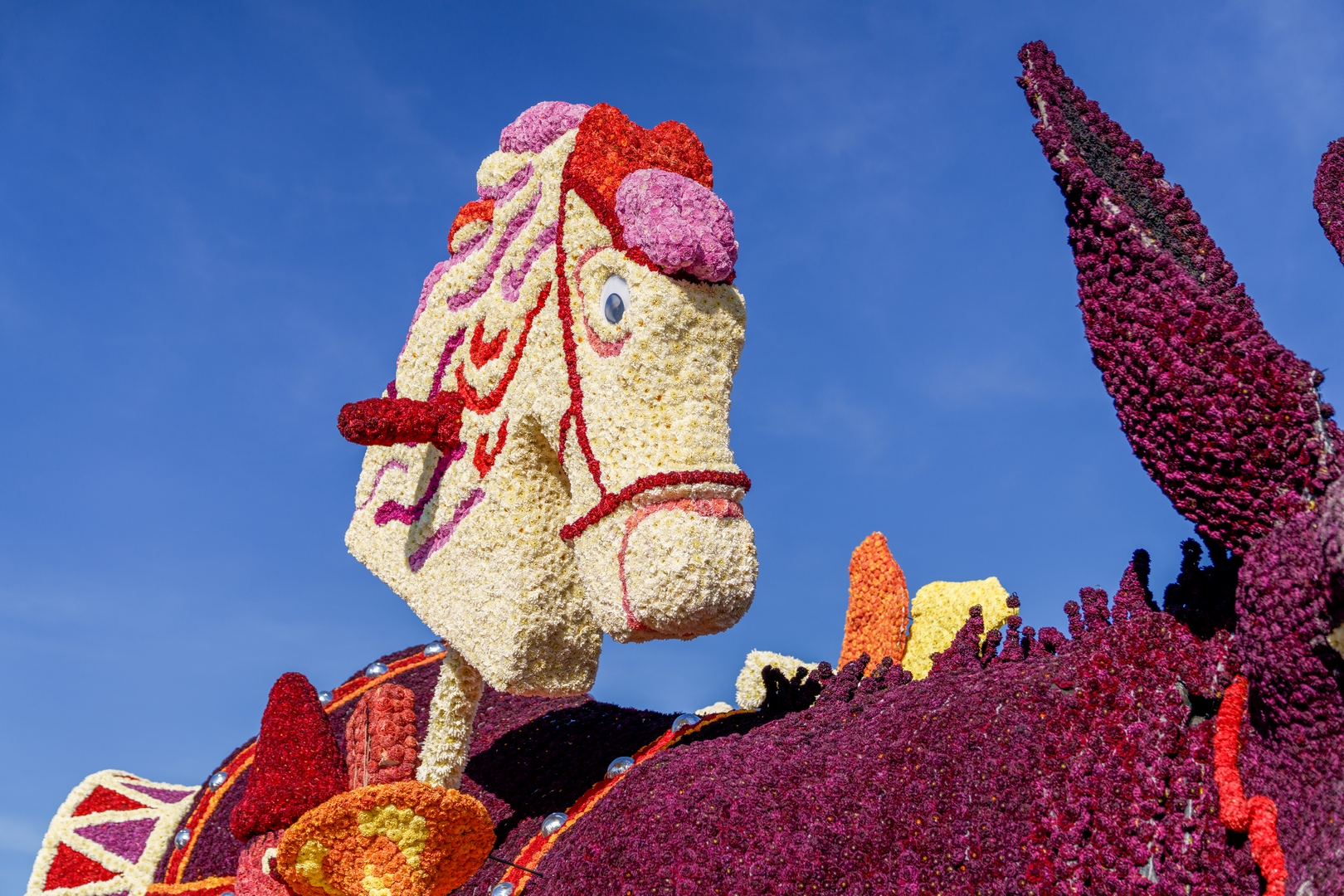Vive Saint Nicolas!, Foto Paul Ranft