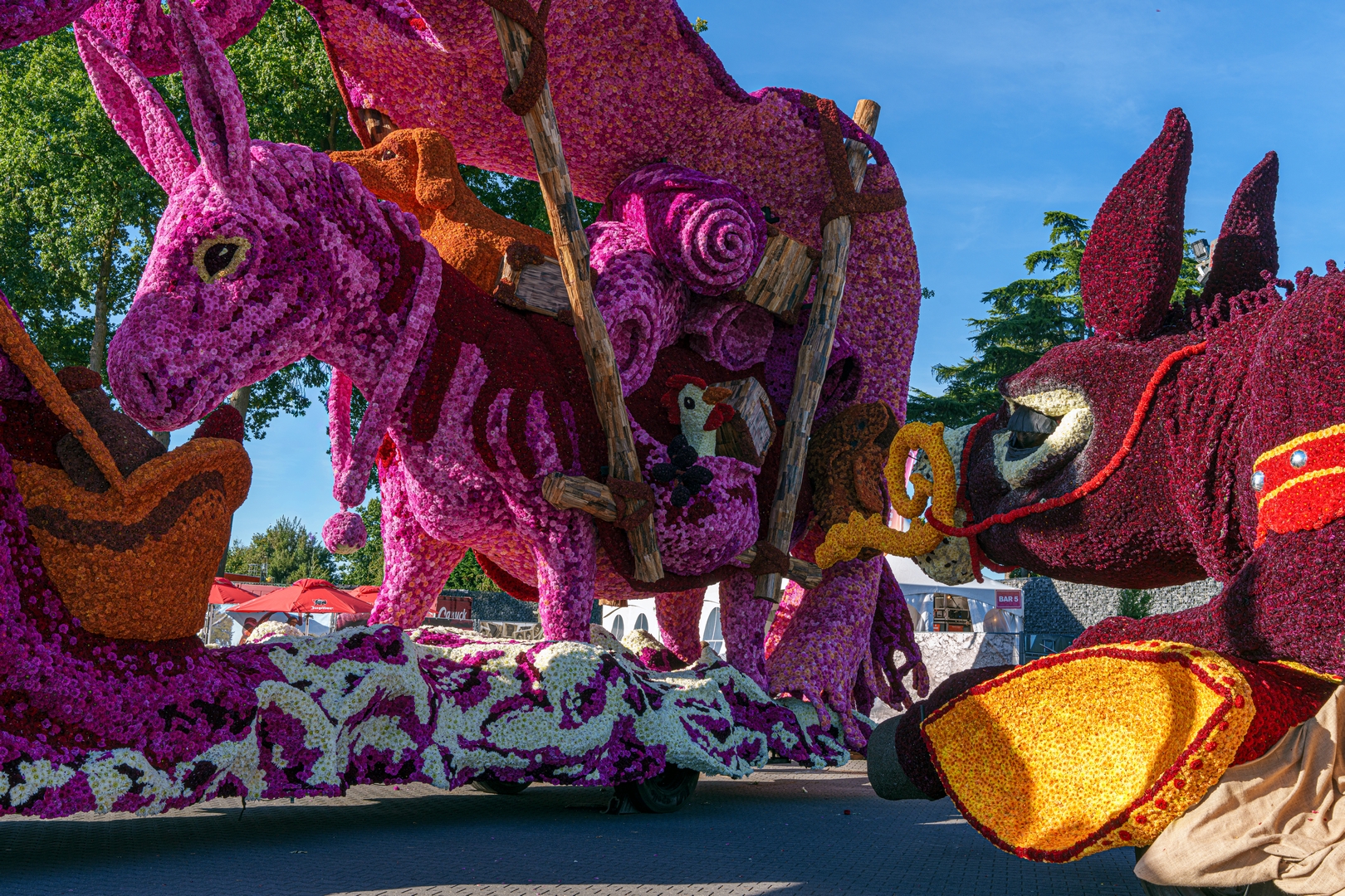 Vive Saint Nicolas!, Foto Paul Ranft