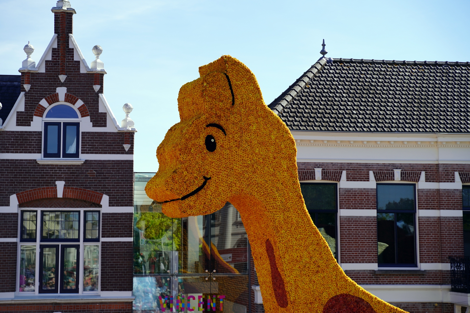 Op Rolletjes, Foto Fotografie Sander Vlug