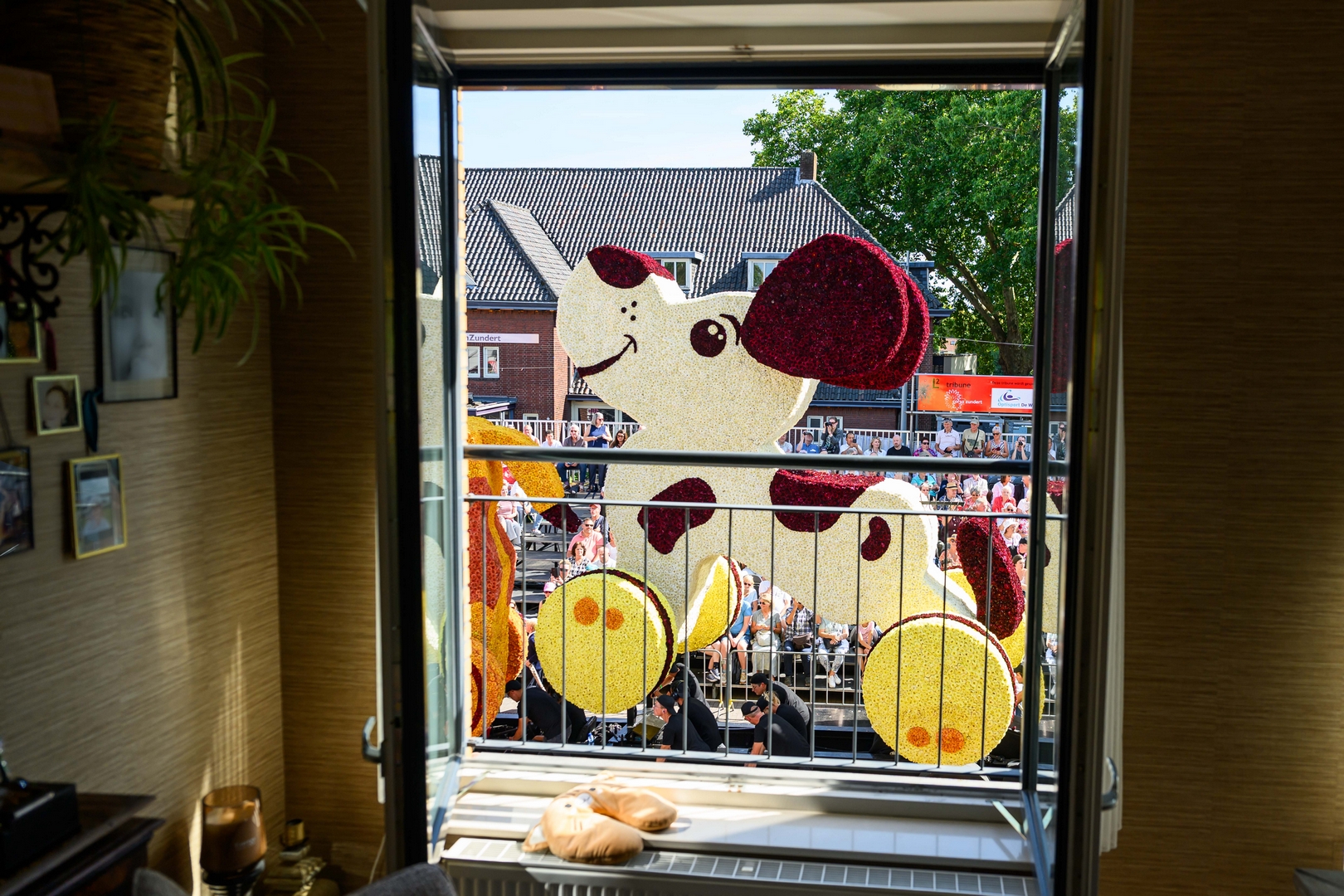 Op Rolletjes, Foto José van Trijp fotografie