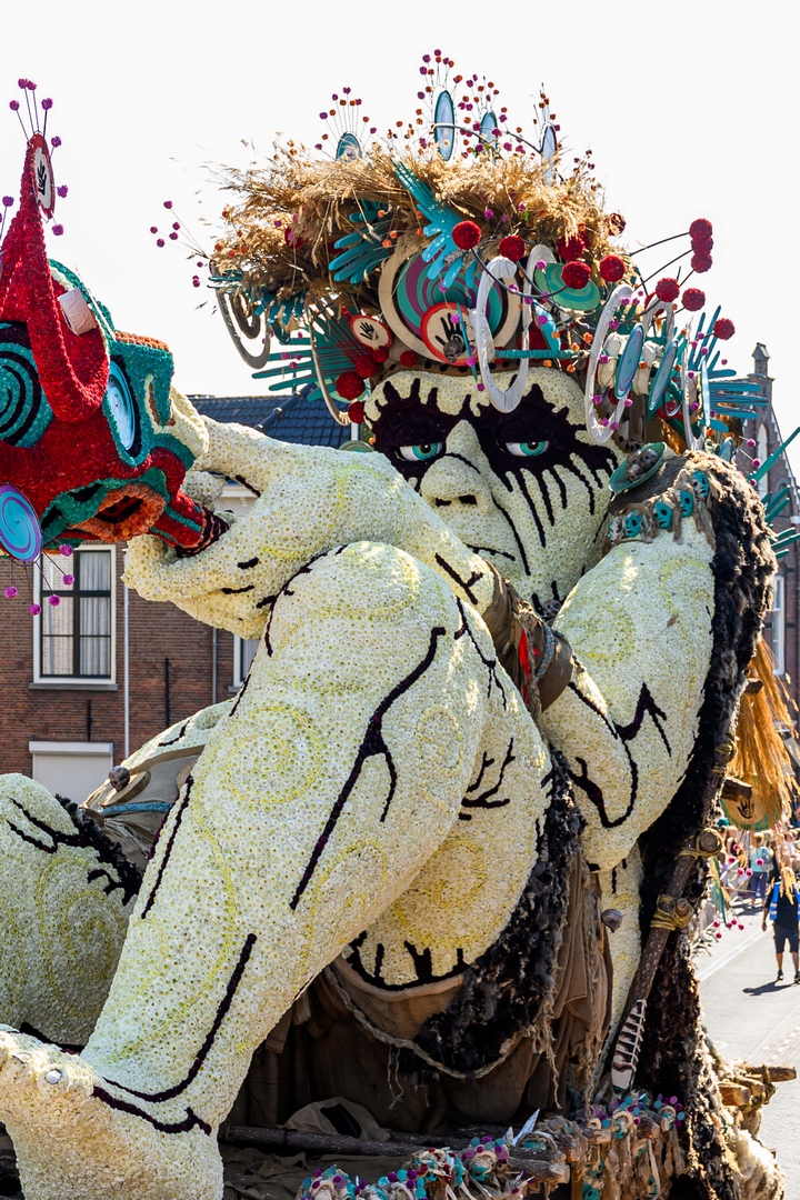Tweede Termijn, Foto José van Trijp fotografie
