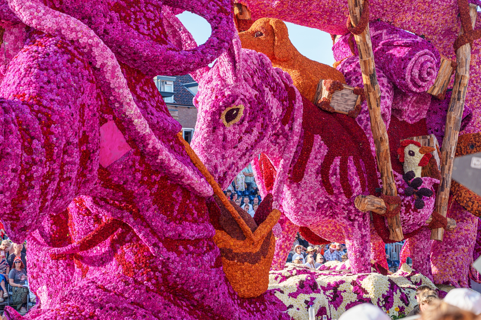 Nomad, Foto Paul Ranft