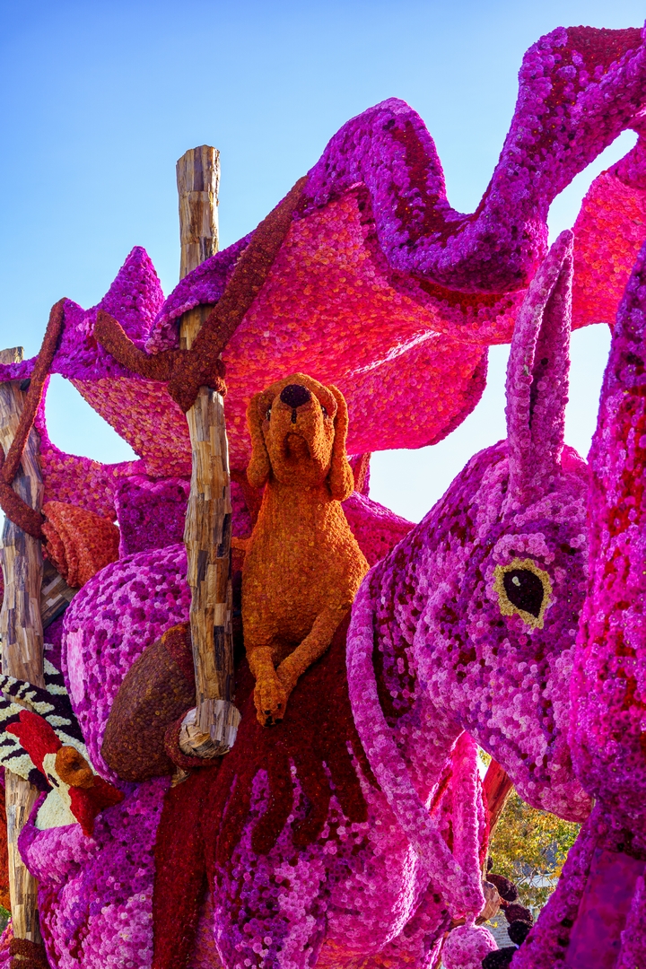 Nomad, Foto Paul Ranft