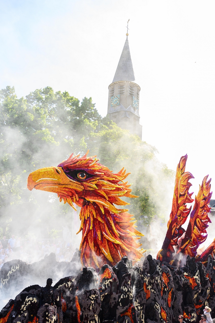 Feniks, Foto José van Trijp fotografie