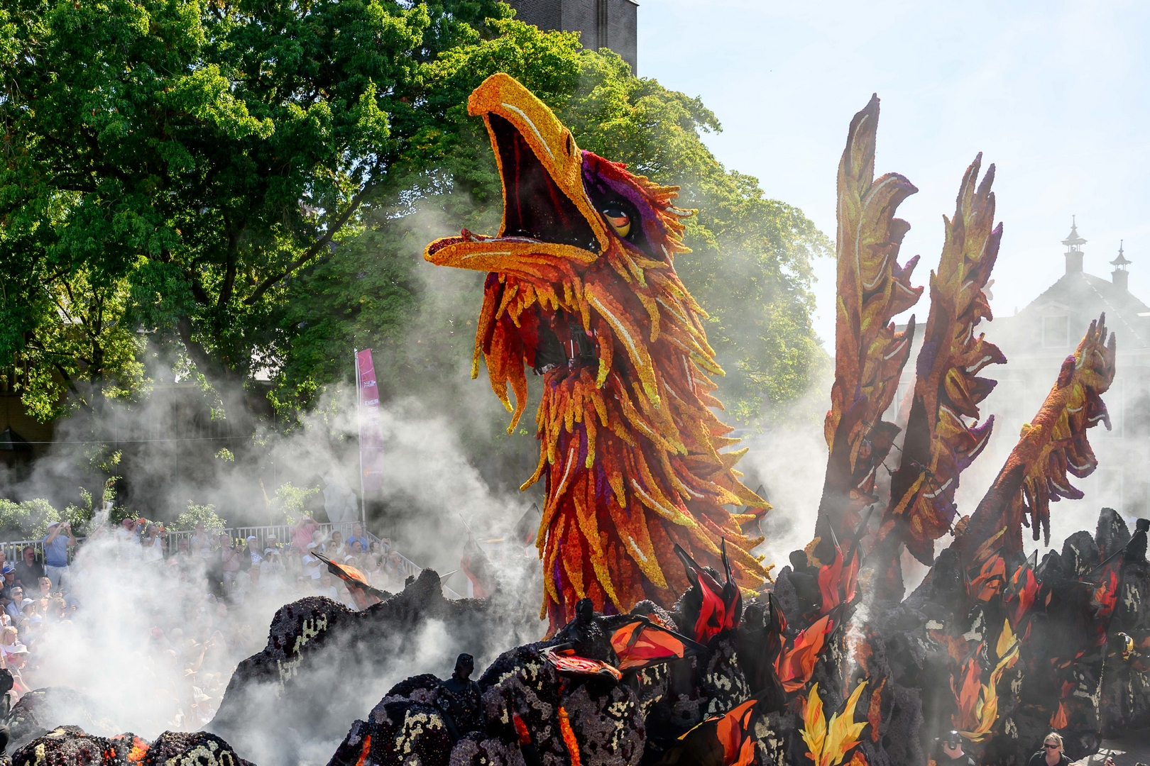 Feniks, Foto José van Trijp fotografie
