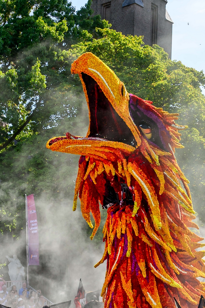 Feniks, Foto José van Trijp fotografie