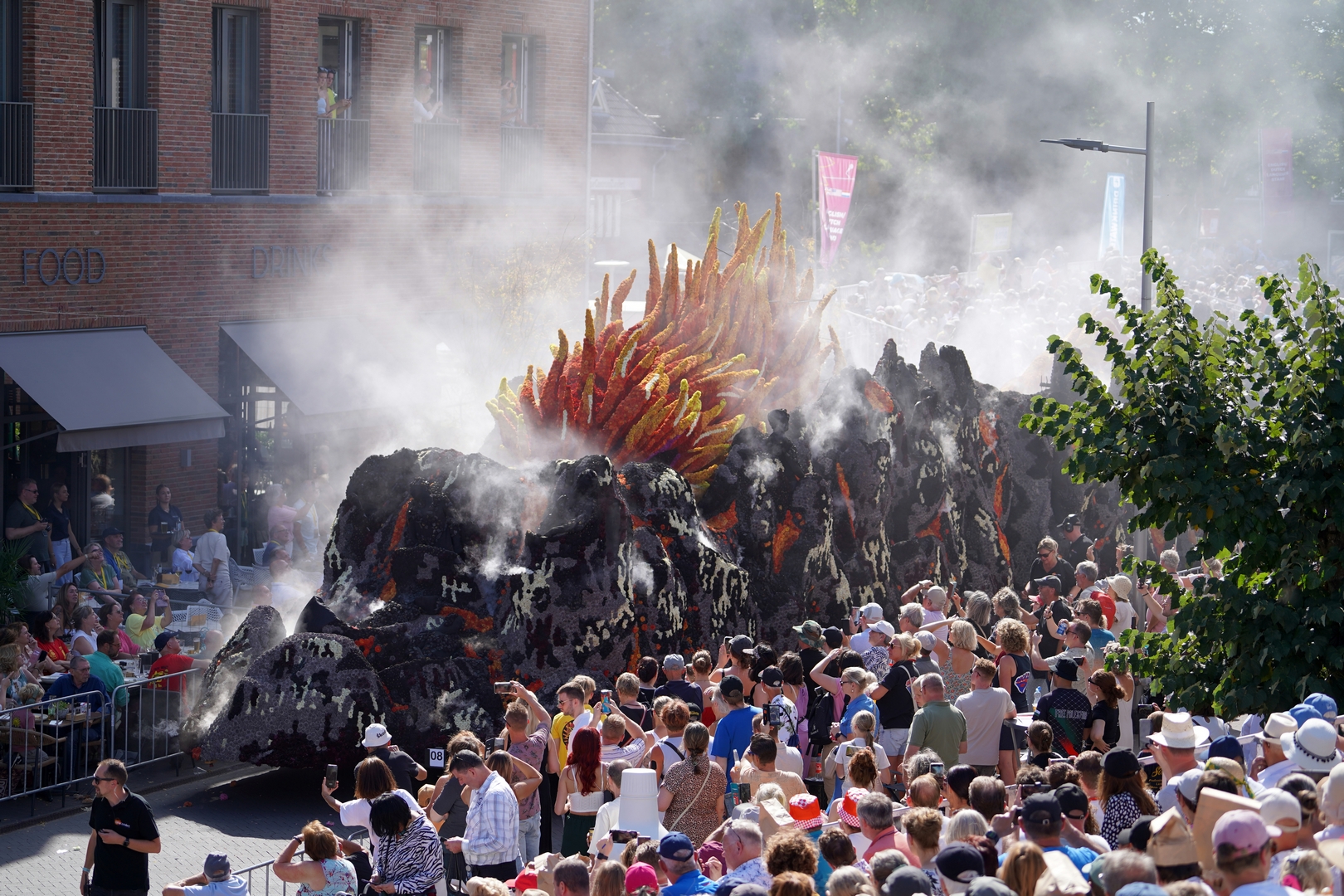 Feniks, Foto Fotografie Sander Vlug