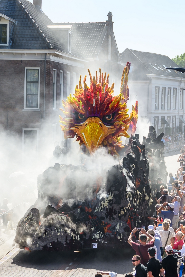 Feniks, Foto José van Trijp fotografie