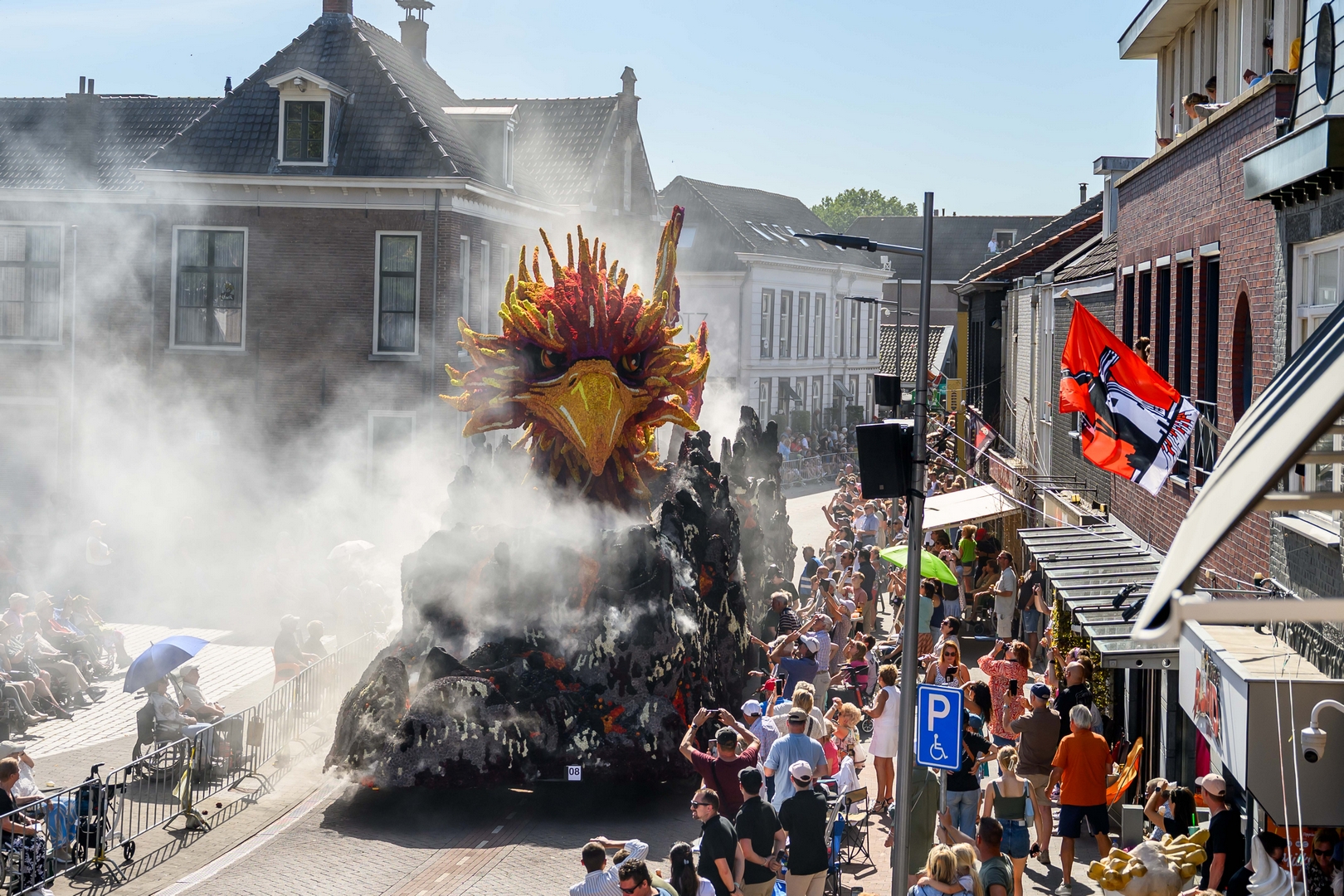 Feniks, Foto José van Trijp fotografie