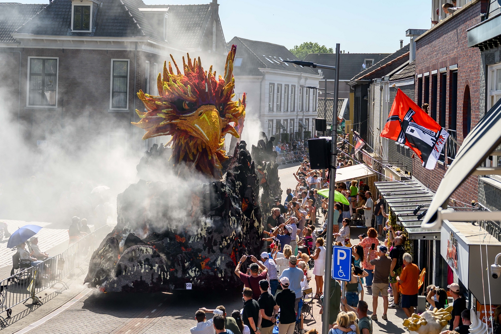 Feniks, Foto José van Trijp fotografie