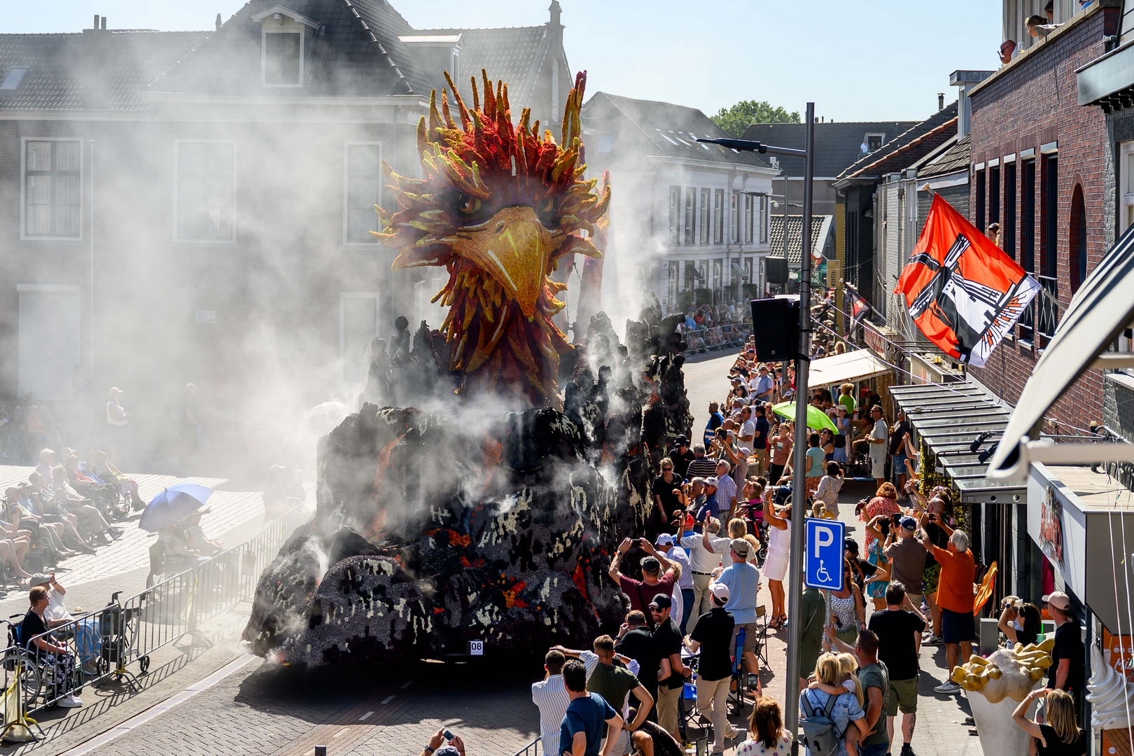 Feniks, Foto José van Trijp fotografie