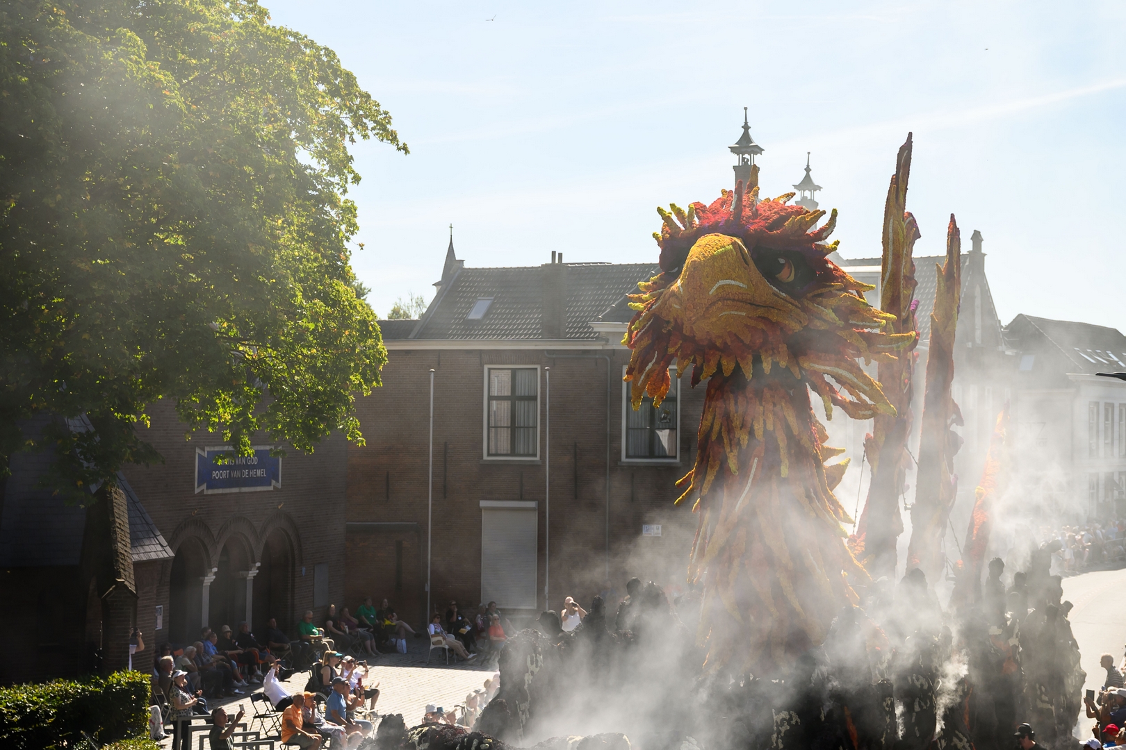 Feniks, Foto José van Trijp fotografie