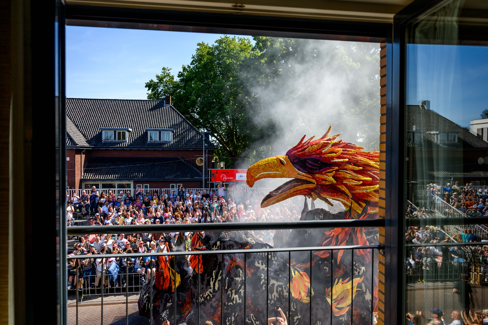 Feniks, Foto José van Trijp fotografie