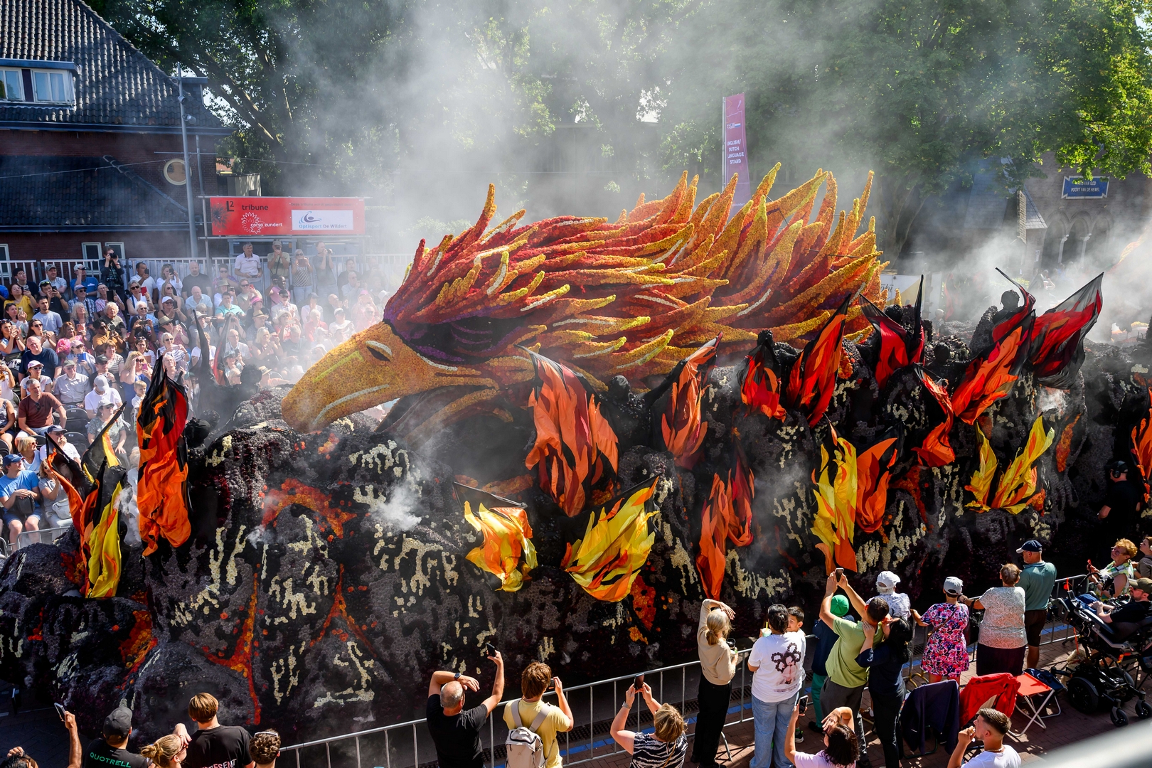 Feniks, Foto José van Trijp fotografie