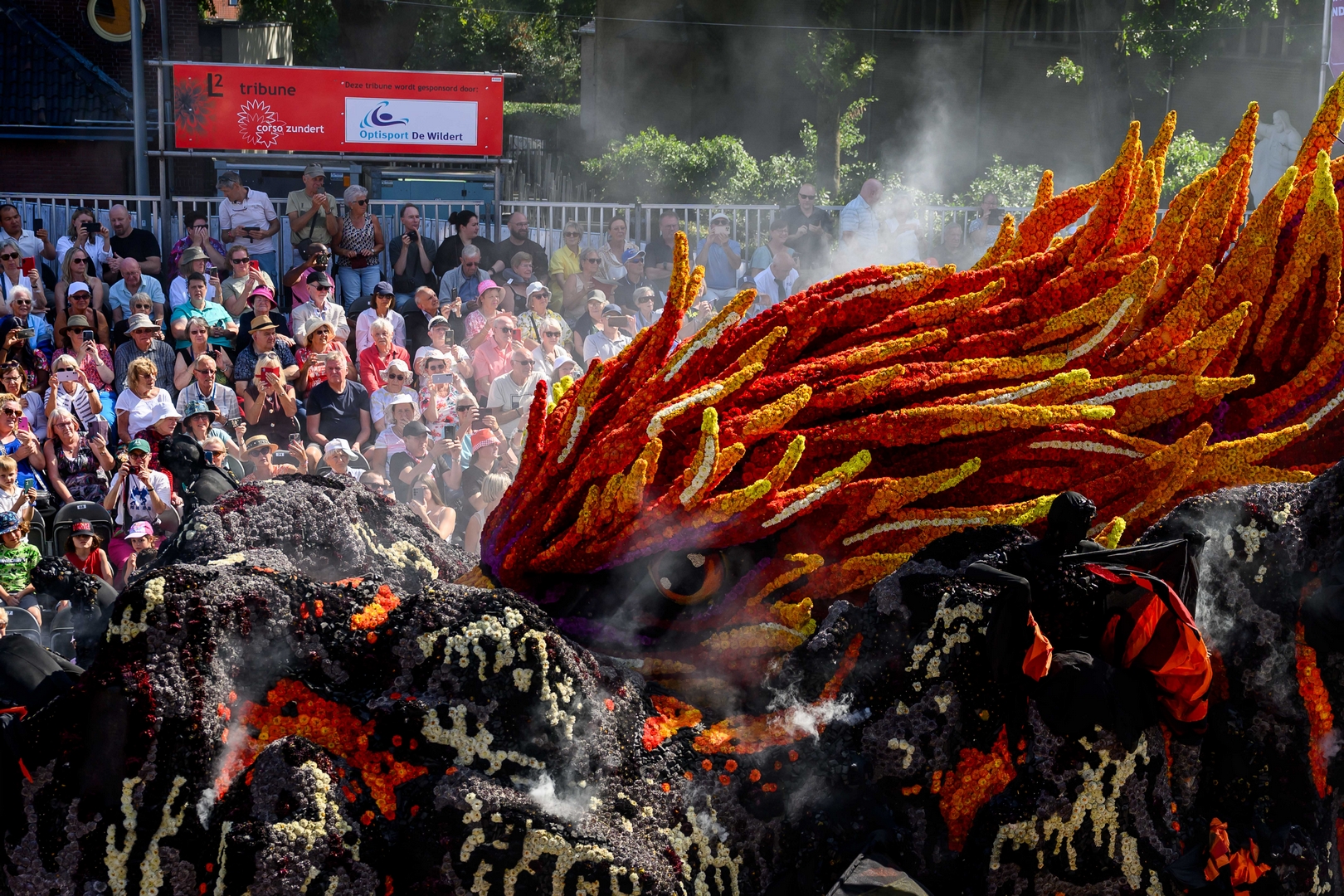 Feniks, Foto José van Trijp fotografie