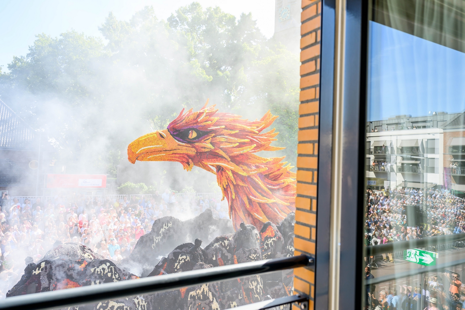 Feniks, Foto José van Trijp fotografie