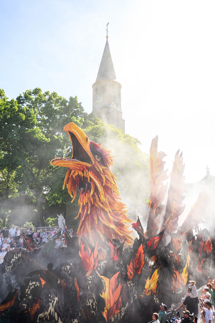 Feniks, Foto José van Trijp fotografie