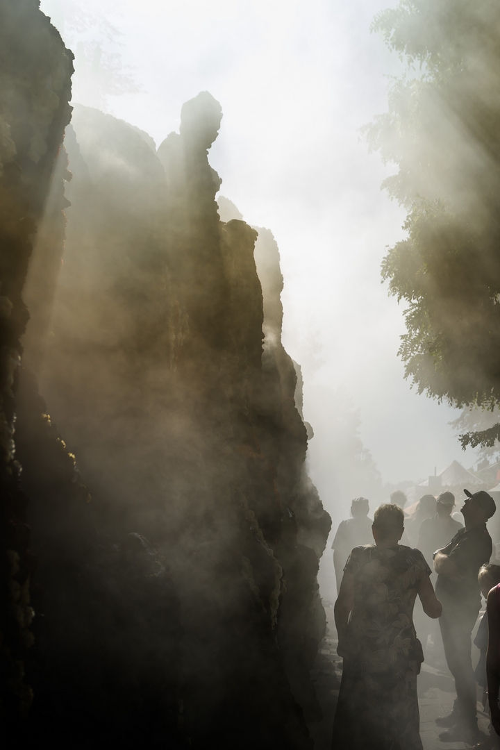 Feniks, Foto José van Trijp fotografie