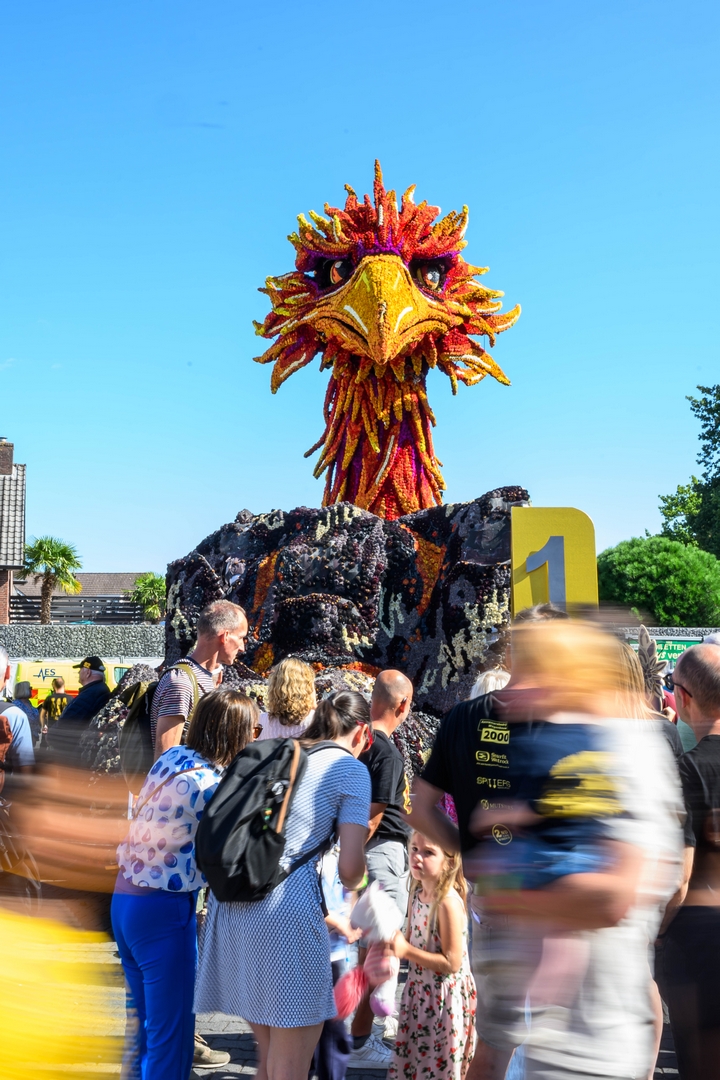 Feniks, Foto José van Trijp fotografie