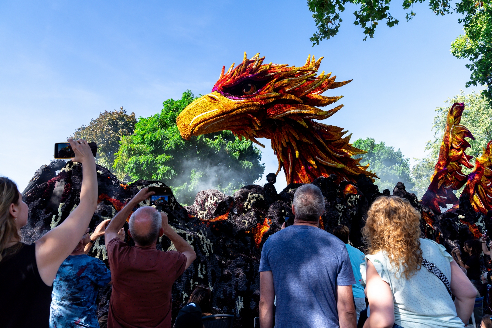 Feniks, Foto Judith Adriaansen Fotografie