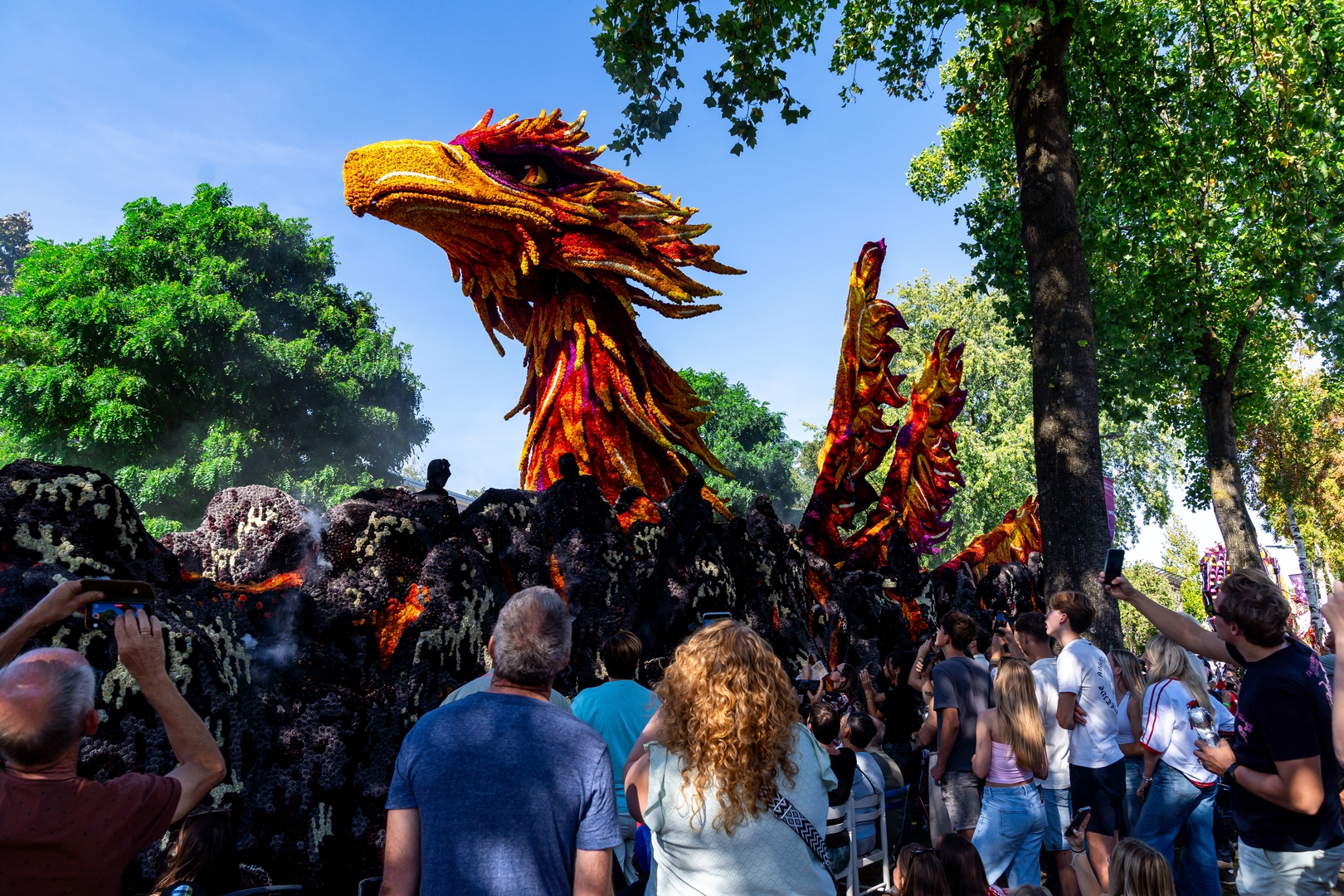 Feniks, Foto Judith Adriaansen Fotografie