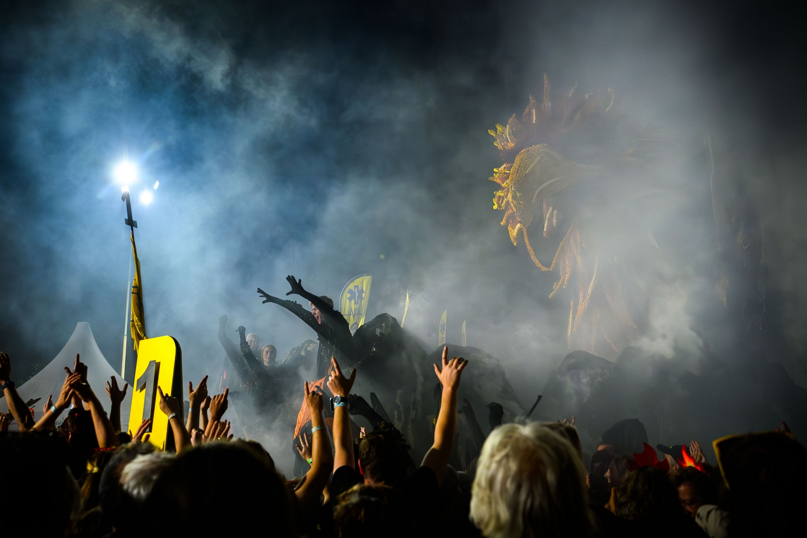 Feniks, Foto José van Trijp fotografie