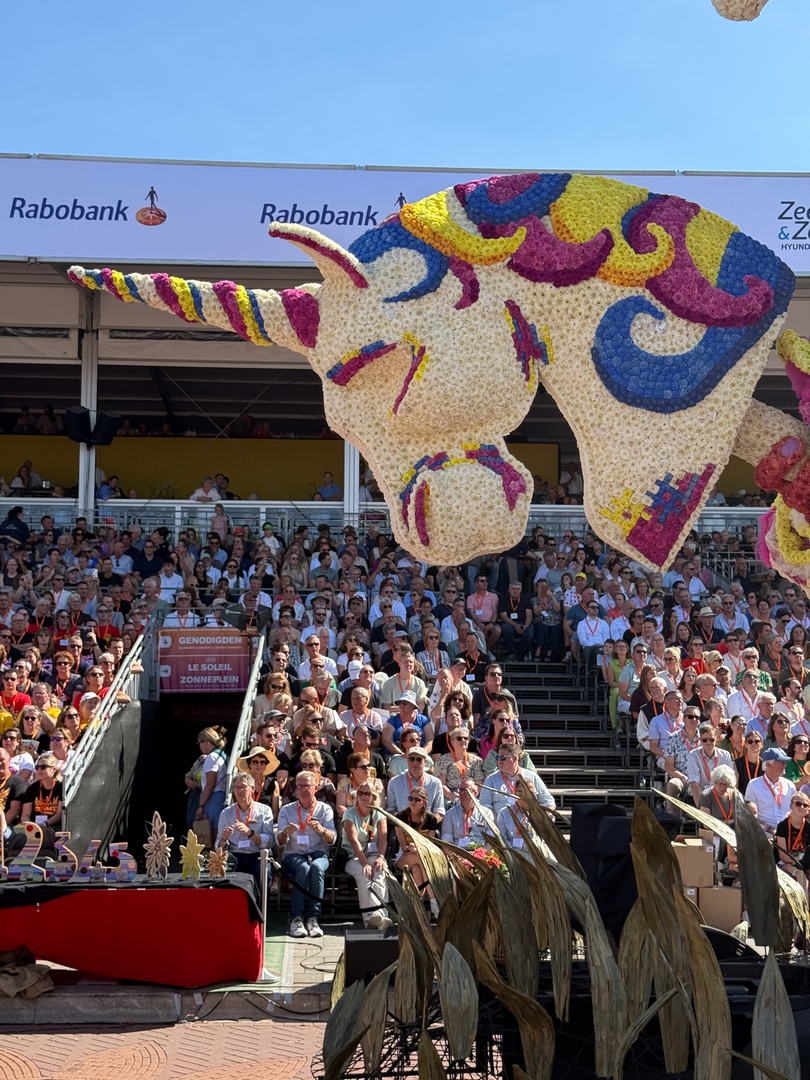 Woensdagmiddag, Foto Joeri Sannen