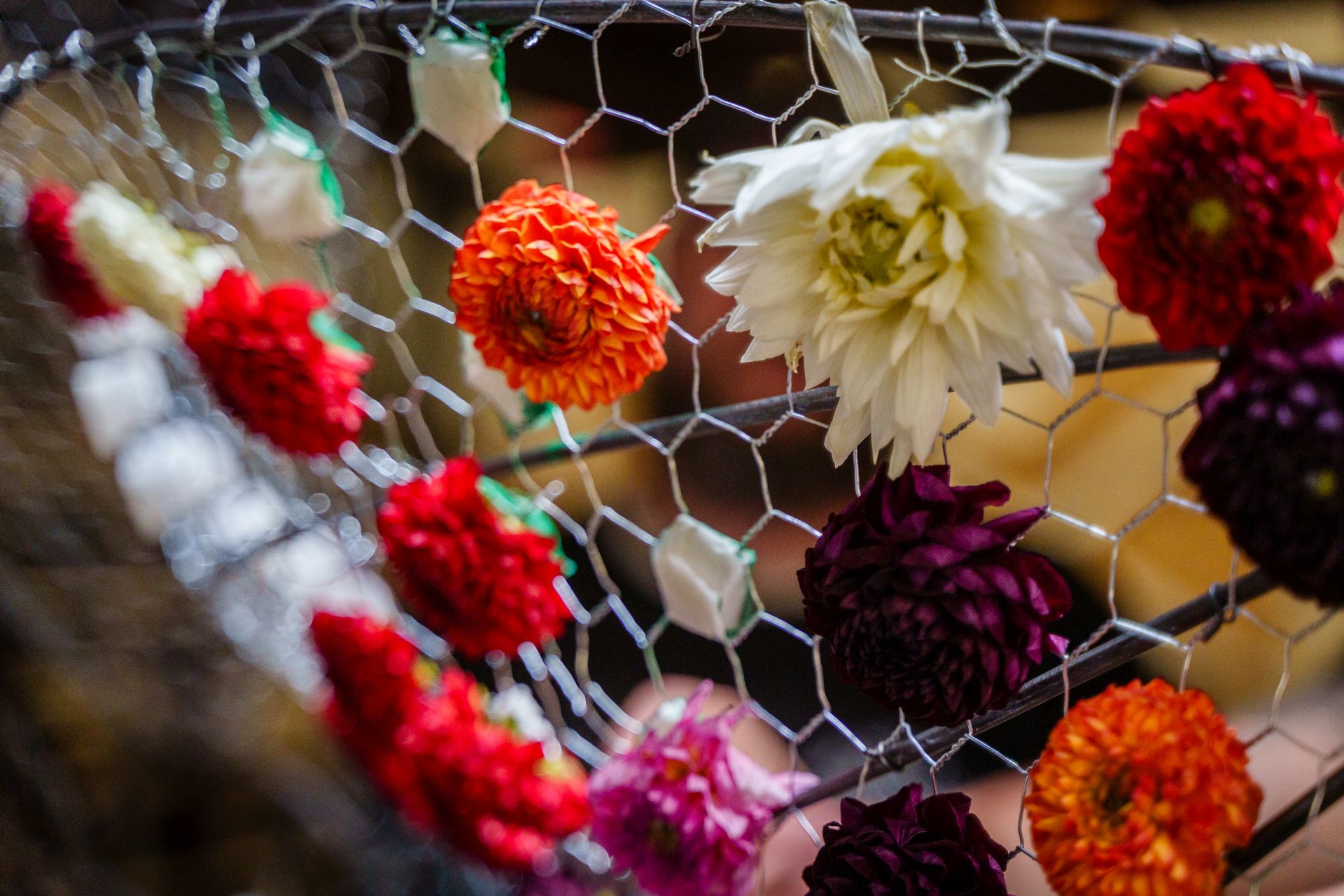 ef20240718_poteind-bouwen_002_s